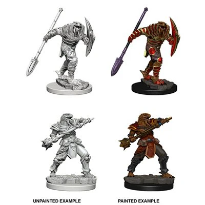 D&D Nolzur's Marvelous Unpainted Miniatures: Wave 5: Dragonborn Male Fighter