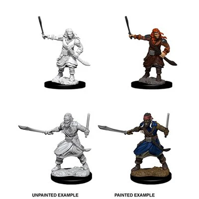 D&D Nolzur's Marvelous Unpainted Miniatures: Wave 8: Bandits