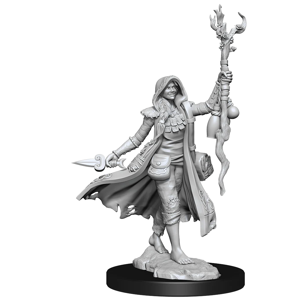 DND FRAMEWORKS WV1 HUMAN DRUID FEMALE