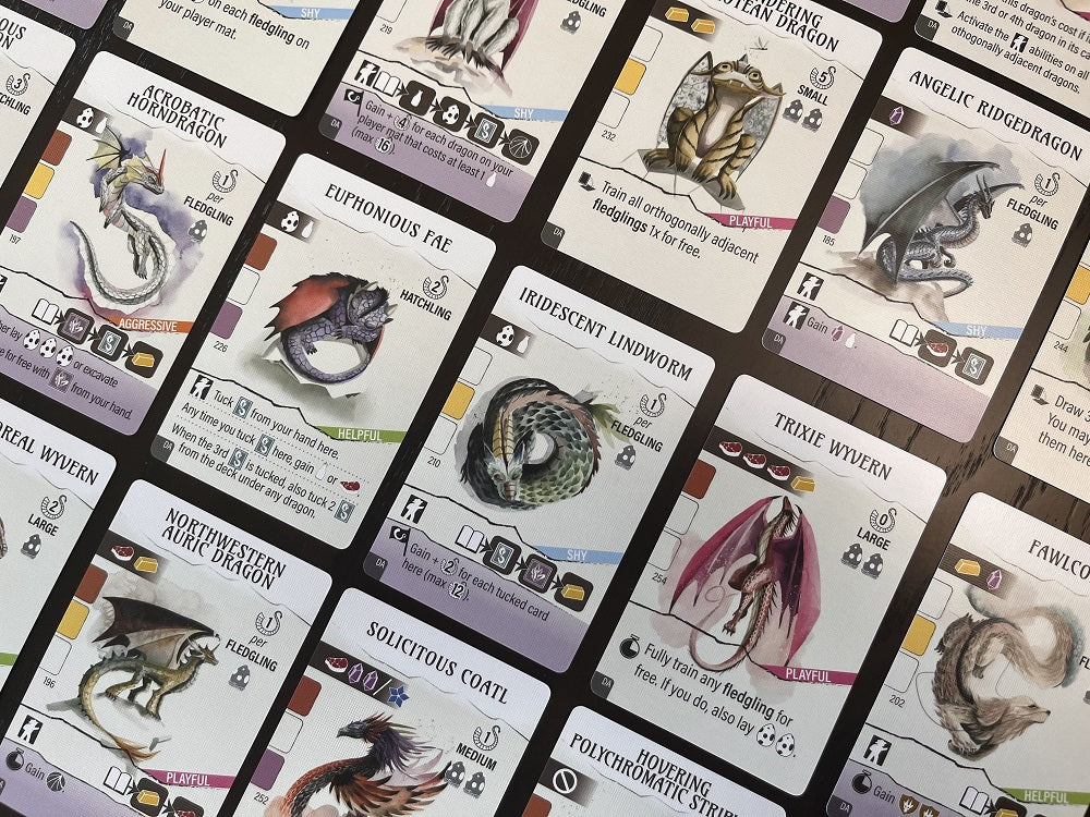 Dragon Academy Expansion | Wyrmspan | Boardgame - Image 3