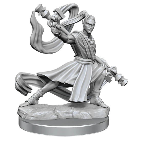 Dungeons & Dragons: Frameworks: Elf Monk Male