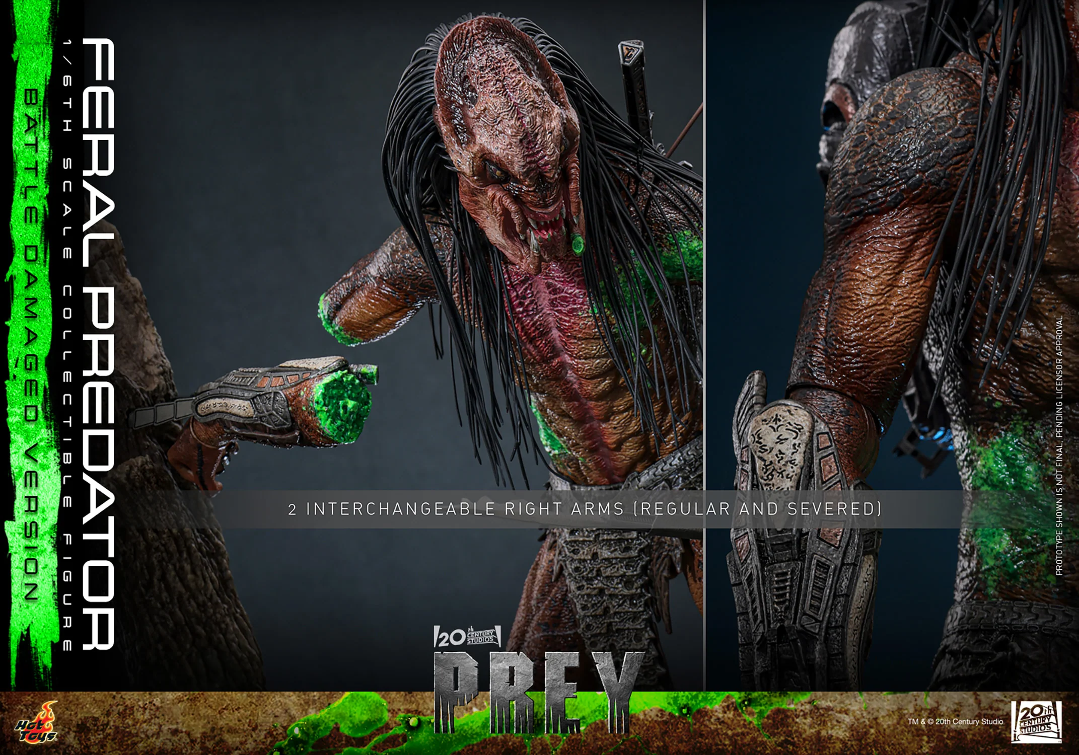 [PREORDER] Feral Predator (Battle Damaged Version) | Sixth Scale Action Figure | Hot Toys - Image 19