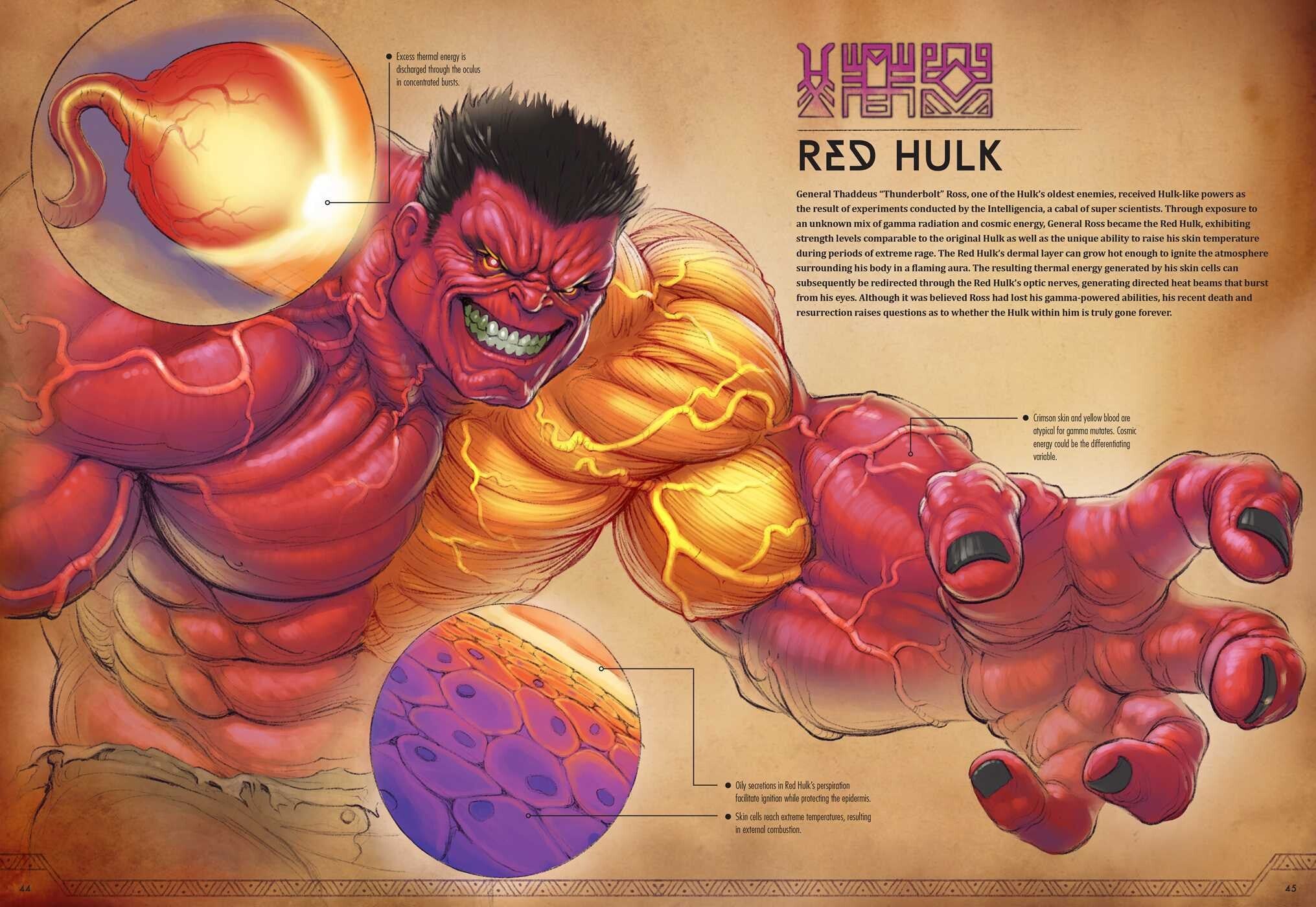 Marvel Anatomy: A Scientific Study of the Superhuman (Hardcover) - Image 3