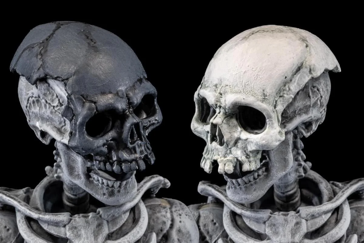 Graveyard Skeletons Four Pack | Mythic Legions Special Edition - Image 5