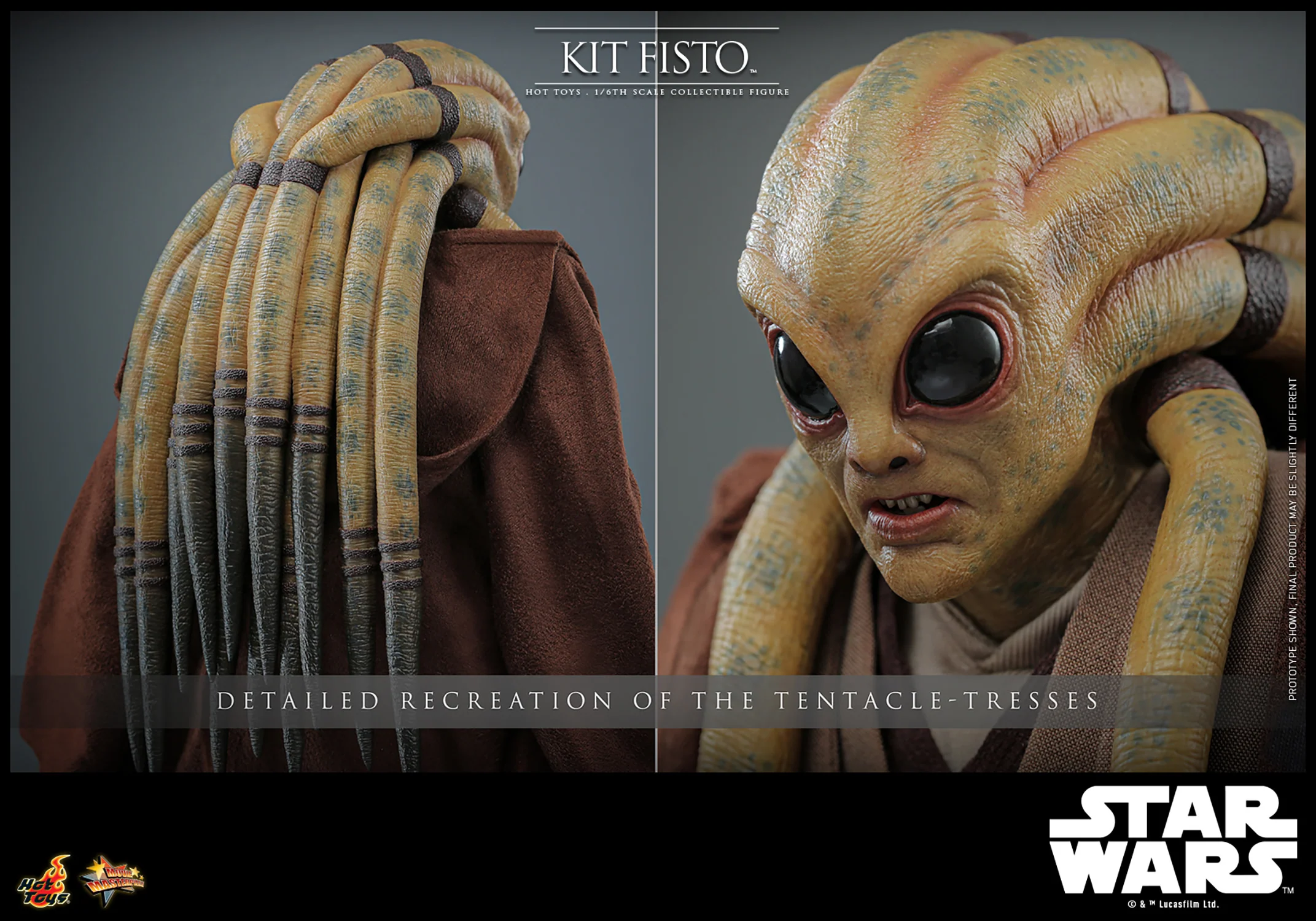 Kit Fisto Sixth Scale Figure - Image 16