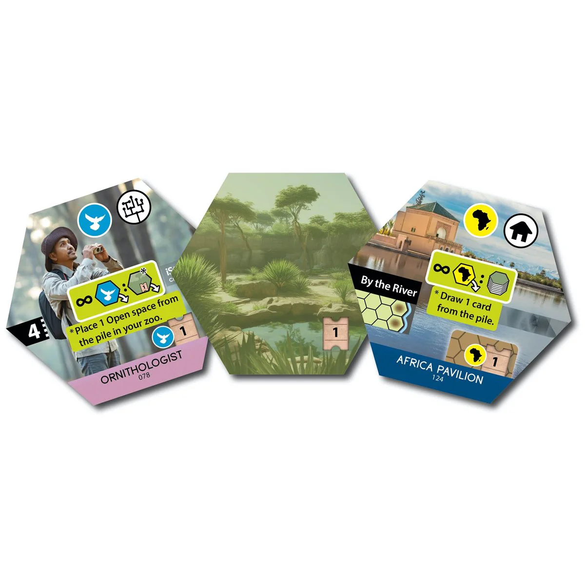 Sanctuary: An Ark Nova Game | Boardgame | Capstone Games - Image 3