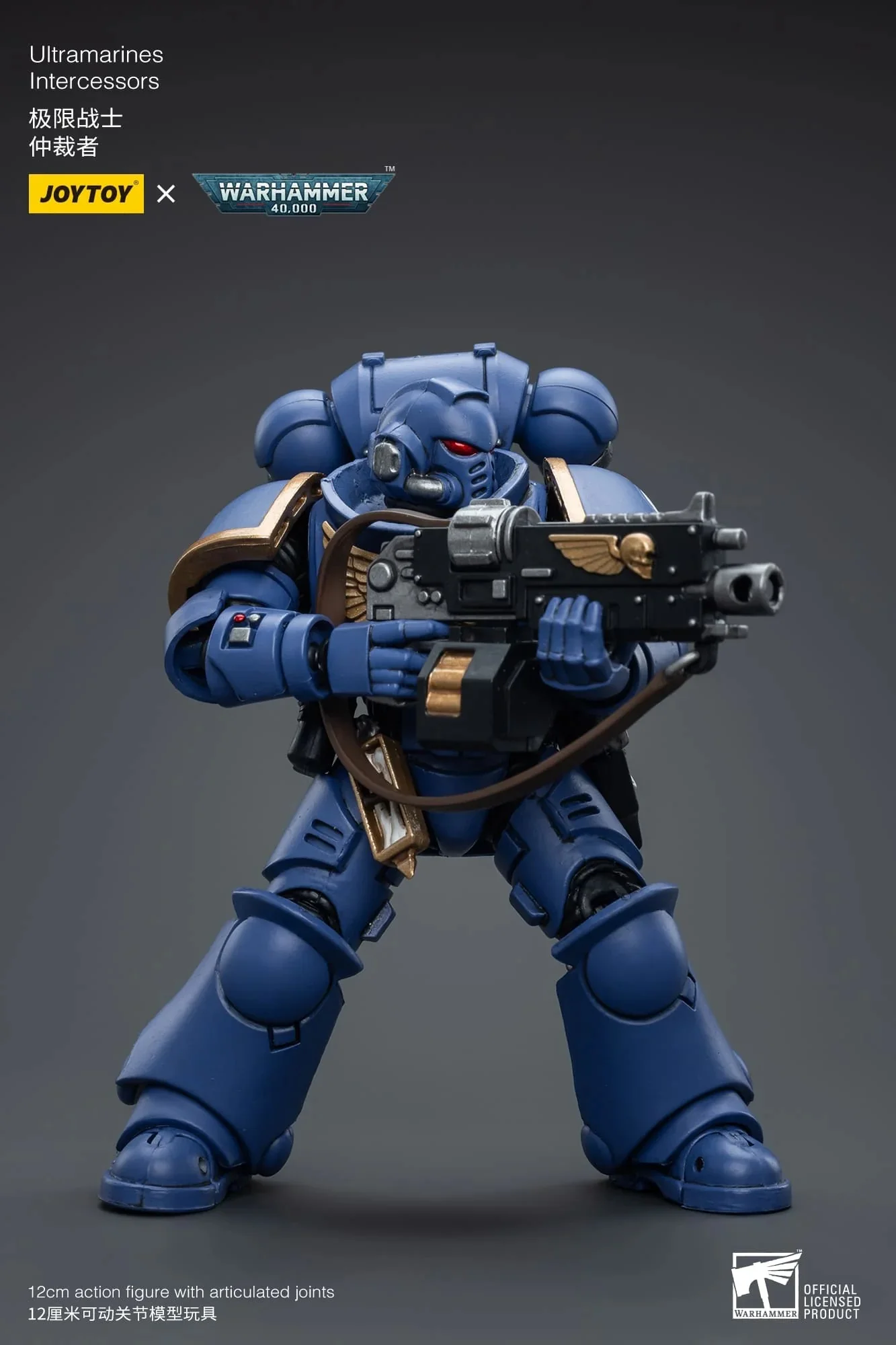 Ultramarines Intercessors - Warhammer 40K Action Figure (Joy Toy) - Image 2